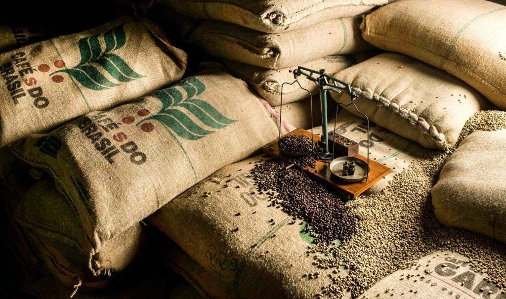 Conilon coffee: A roaster's guide to its potential